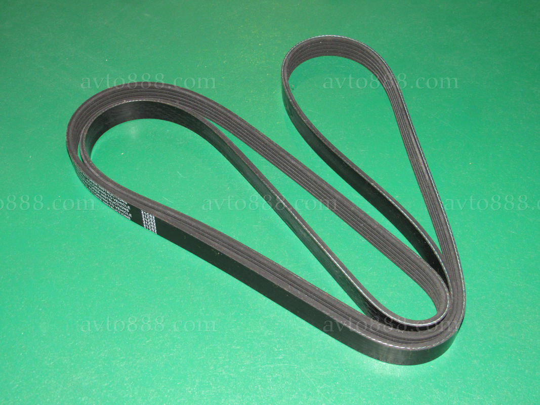 ремінь генер. 2123 "Hola"   5рк1885