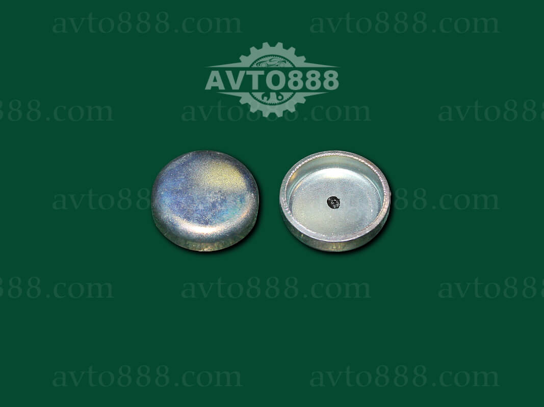 заглушка d=25 "ВАЗ"     (блока 2101 мал.), (трамб. 2101)