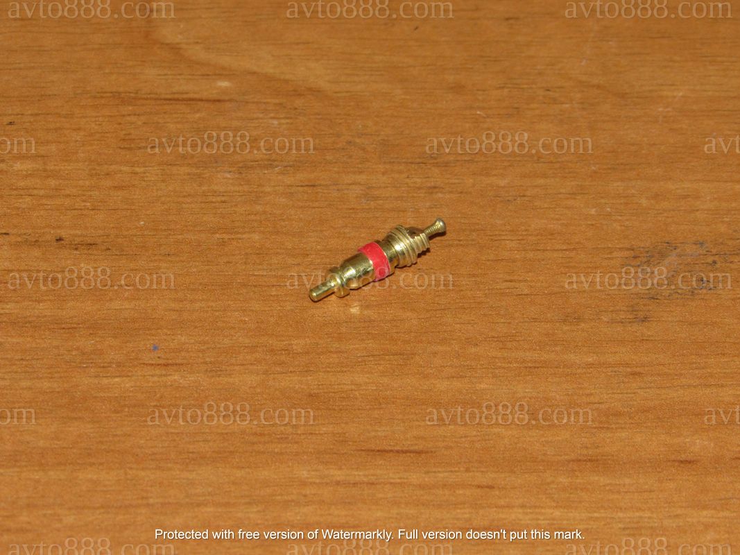 золотнік коротк. жовт.