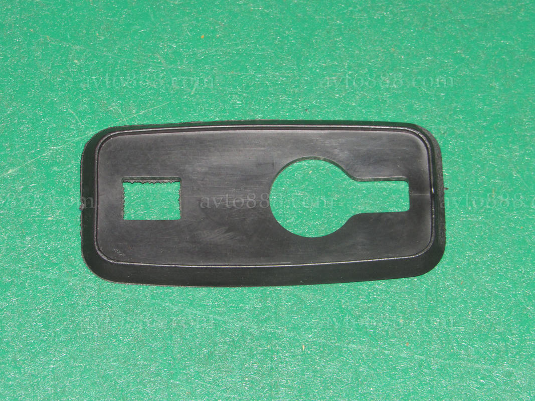 ризинка повтор. 2110