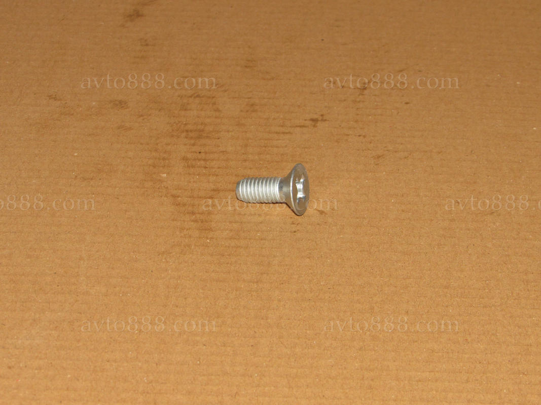 винт дверної петлі 2101