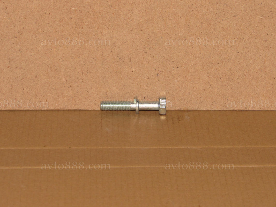 болт стартера 2101 з гравером "БелЗАН"